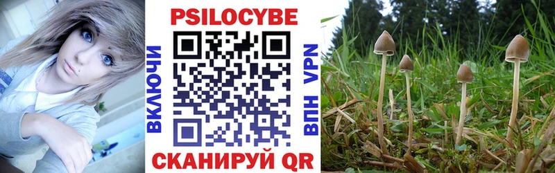 Псилоцибиновые грибы прущие грибы  Канаш 